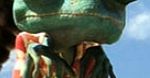 Dwie wersje ''Rango'' w polskich kinach: dubbing i napisy
