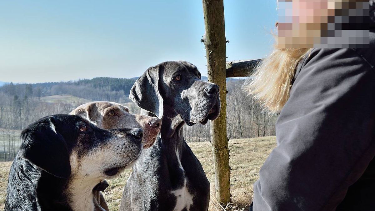 Zdjęcie ilustracyjne.