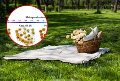 Pogoda na majówkę 2025. Czy warunki będą sprzyjać grillowaniu i wyjazdom?