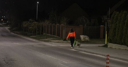 Uwaga piesi. Za ten błąd policja może wlepić wam 500 zł mandatu