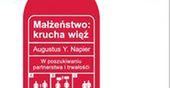 Krucha więź
