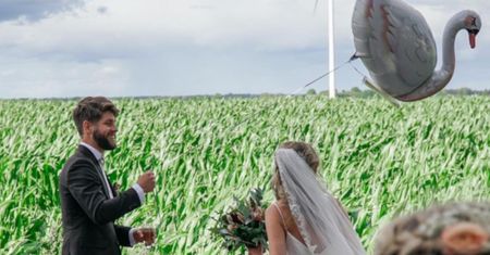 Młoda para ze Szwecji wypuściła łabędzia. Wylądował w Polsce