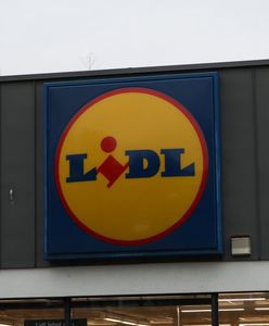 Lidl także sprzedaje testy na przeciwciała SARS-CoV2. Taniej niż w Biedronce