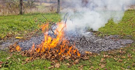 Palisz ognisko w ogrodzie? Uważaj szczególnie jesienią. Nawet 5 tys. zł kary