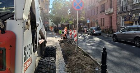 Drzewa i krzewy zamiast samochodów. Kolejna ulica w centrum Lublina przechodzi zieloną rewolucję
