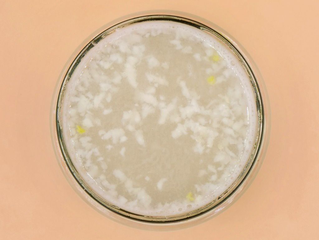 Syrop czosnkowy przepis