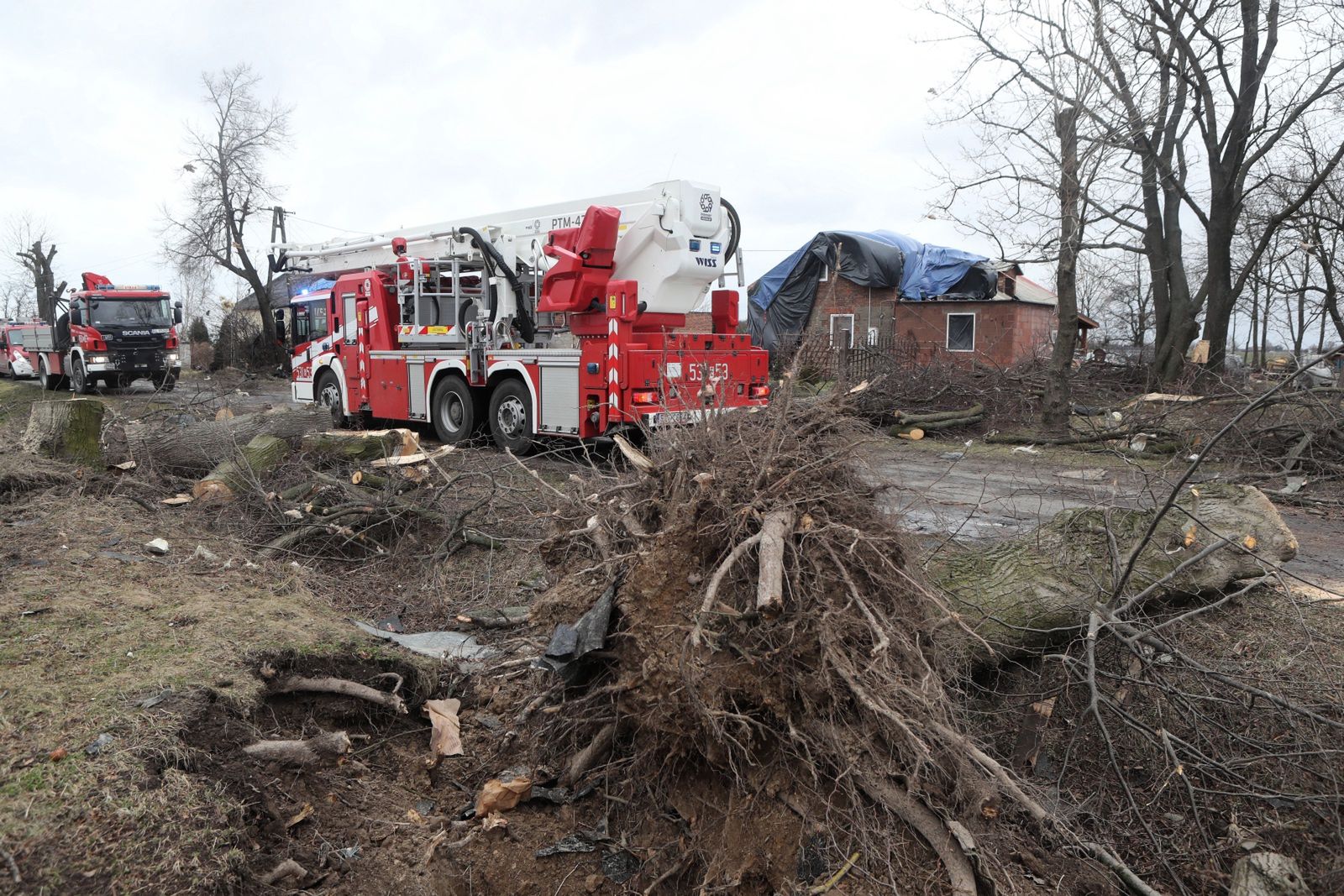 Tragiczne skutki wichur nad Polską. Wiatr tak silny, że przewraca drzewa i samochody