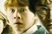 "Harry Potter i Komnata Tajemnic" hitem w programie TV