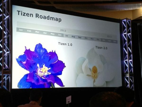 Tizen - przyczajony tygrys czy ukryty smok? [wideo] 4