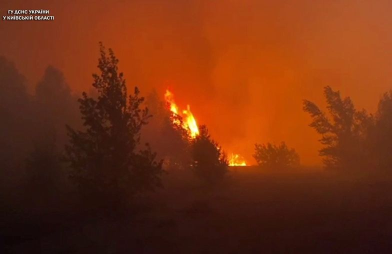 Wielki pożar w lesie koło Czarnobylskiej Strefy Wykluczenia. Nagranie