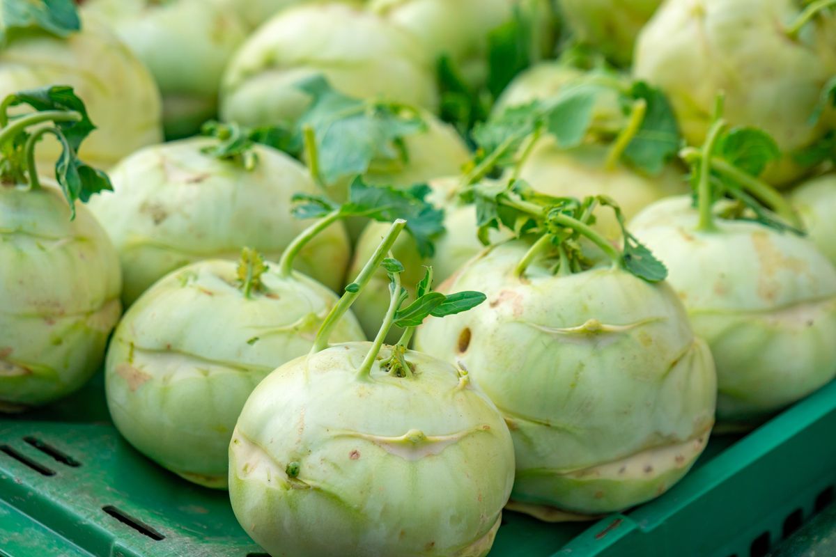 Kalarepa jest warzywem nie tylko smacznym, ale zawiera również wiele witamin i składników mineralnych