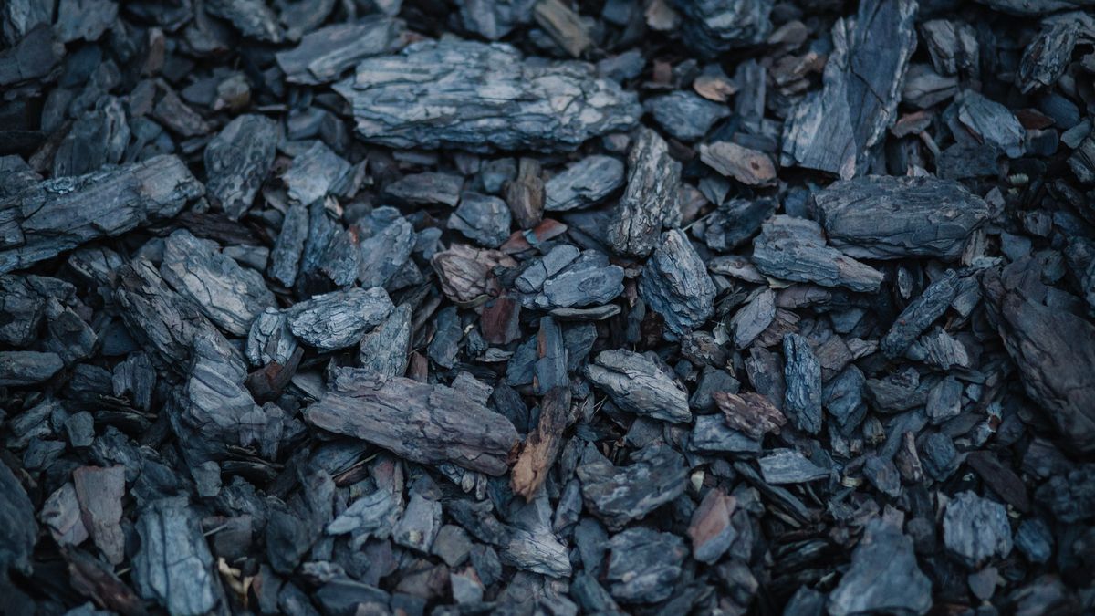 Nowy limit sprzedaży węgla w Jastrzębskiej Spółce Węglowej. Klienci indywidualni będą mogli kupić jedynie dwie, a nie jak dotychczas - trzy tony opału.