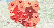 Koronawirus w Polsce zebrał kolejne śmiertelne żniwo. Mapa pokazuje niepokojące liczby