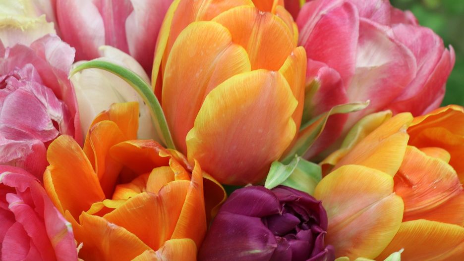 Dzień Kobiet 2021. Życzenia