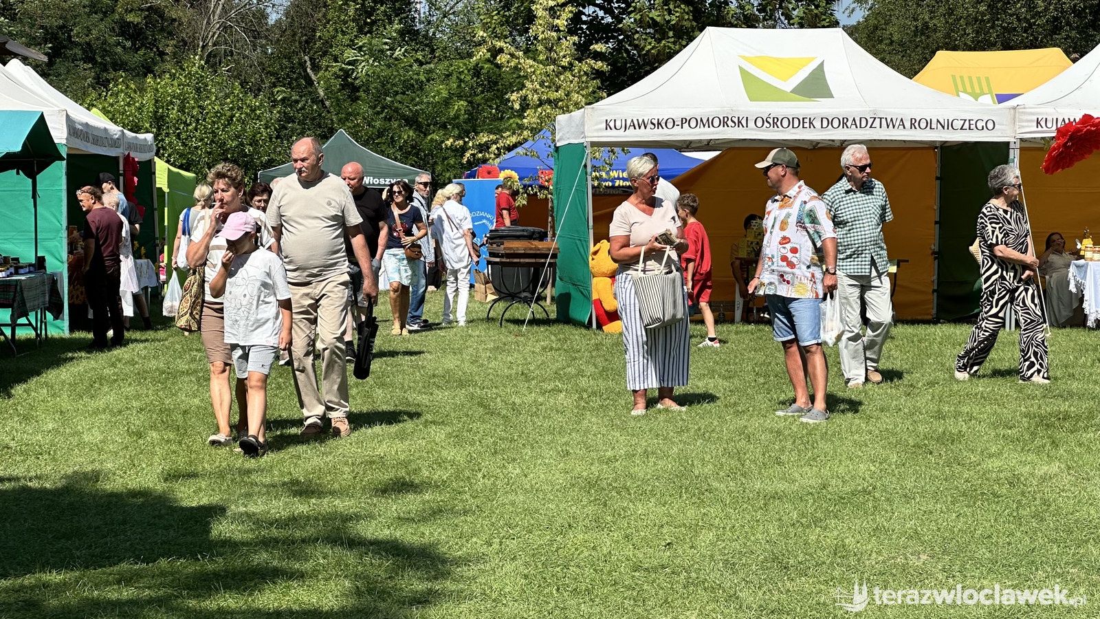 Miodowe Lato w Zarzeczewie 2026