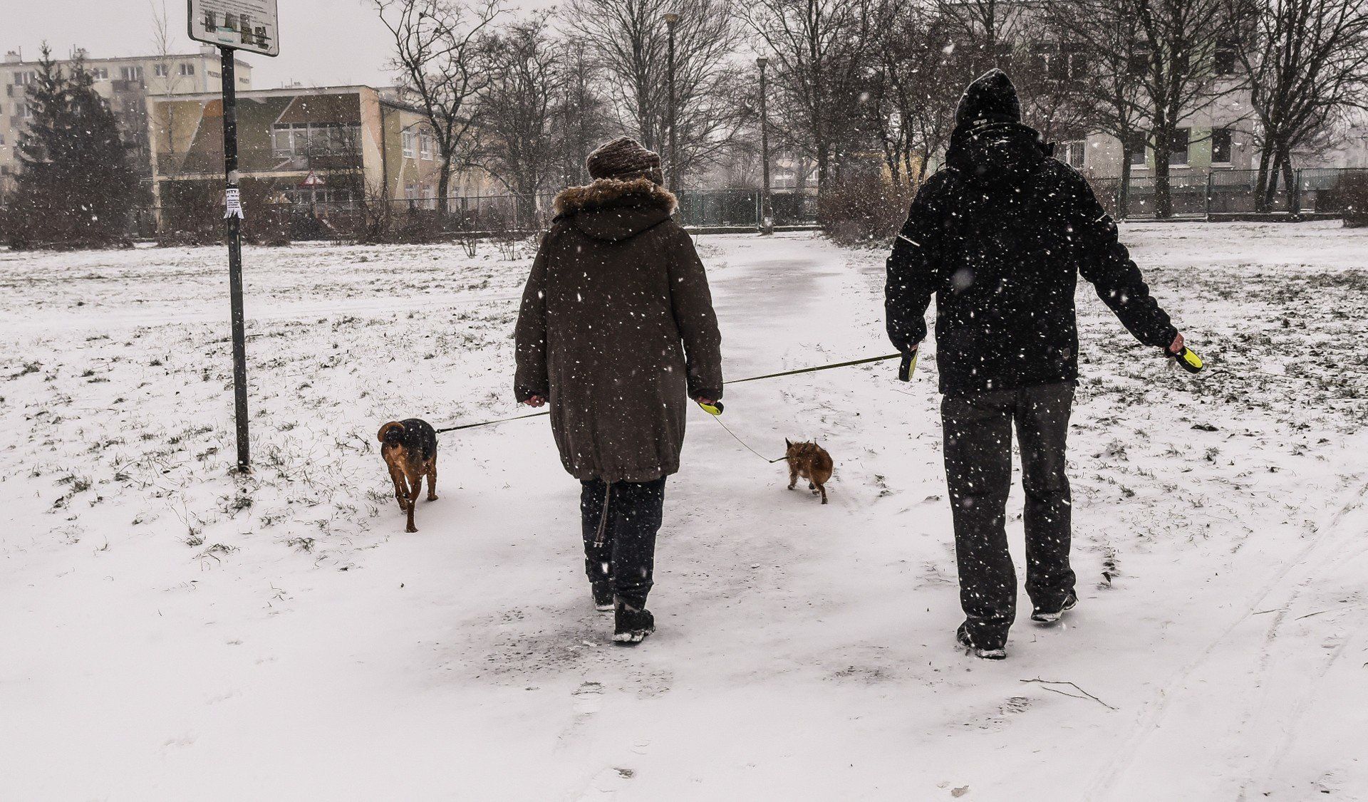 Śnieg może padać intensywnie. W nocy w niektórych częściach regionu może spaść nawet 8 centymetrów białego puchu.