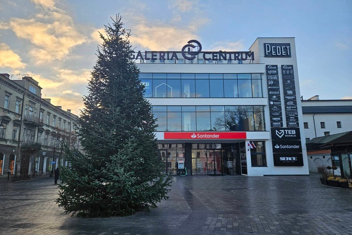 Choinka przed Pedetem