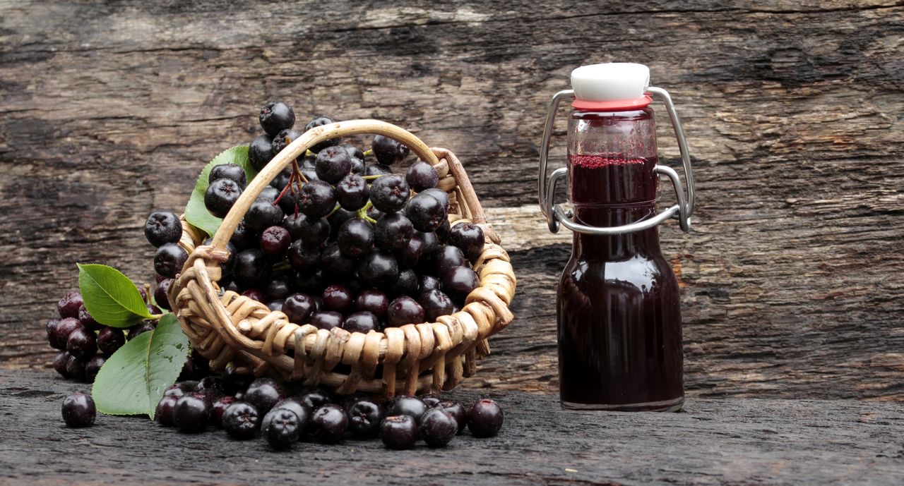 Making homemade chokeberry juice is not difficult.