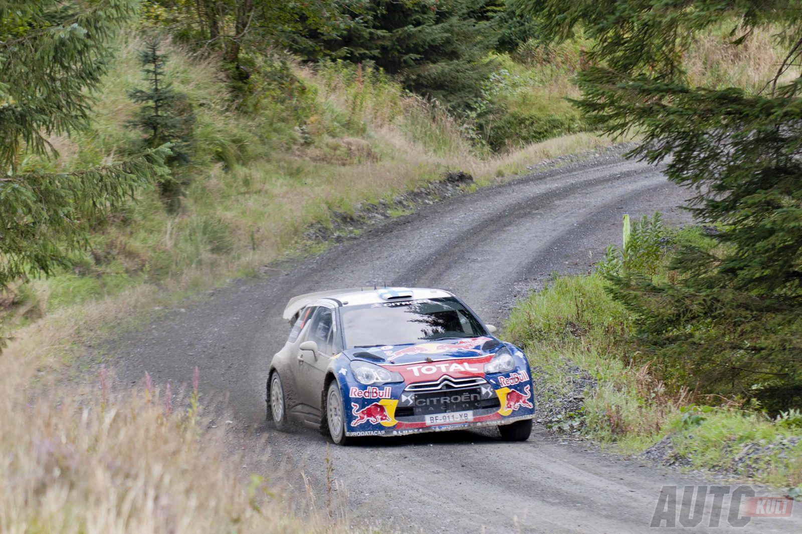 Rally GB 2012