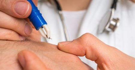 Oto patent na kleszcze. Wydasz tylko 5 zł