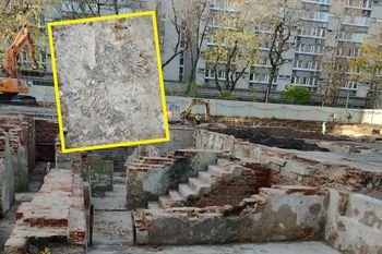 Odkopali piwnicę na ul. Twardej w Warszawie. "Dość szokujące" odkrycie