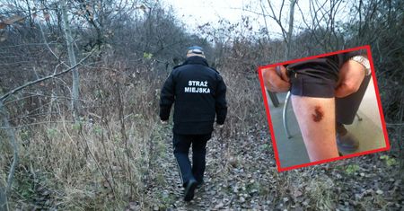 Warszawa. Na Pradze pijany mężczyzna ugryzł strażnika miejskiego