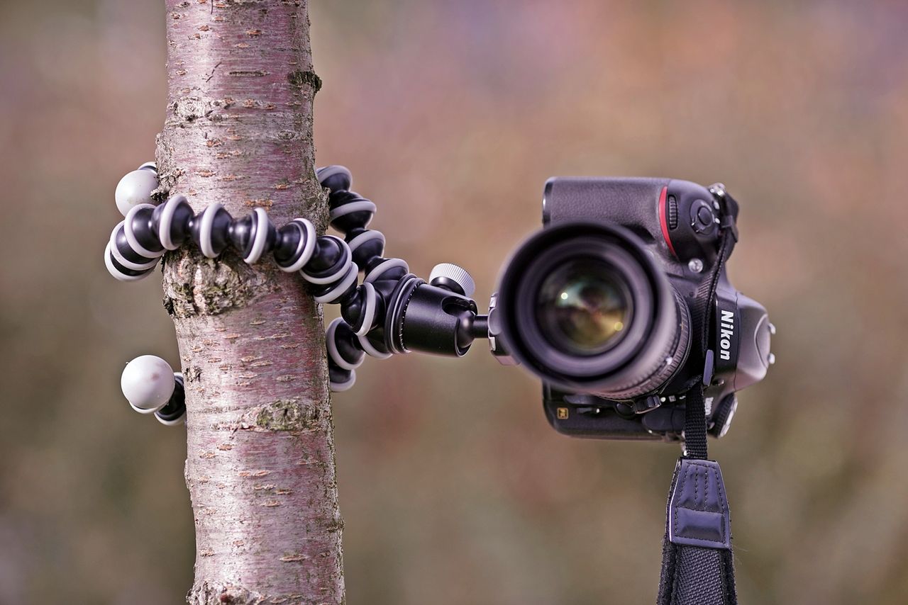 Joby Gorillapod SLR-Zoom, D800 z 70-180 mm f/4,5-5,6D ED Micro Zoom-Nikkorem