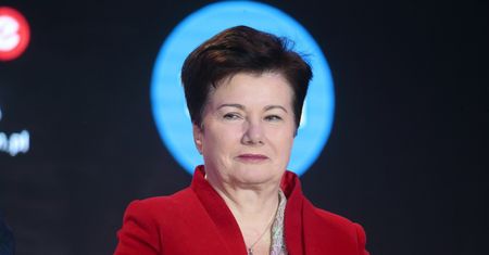 Wycinka drzew. Warszawa wprowadza nowe przepisy
