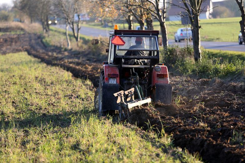 Produkcja rolna. Minister Sawicki chwali rolników, przetwórców i handlowców