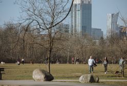 Pogoda. Warszawa. W środę słonecznie i ciepło