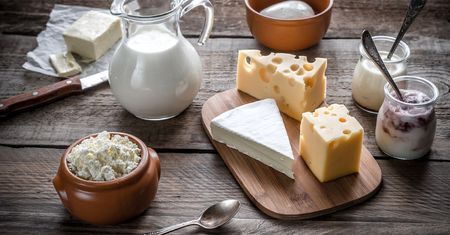 5 produktów nabiałowych, które mogą jeść osoby z nietolerancją laktozy