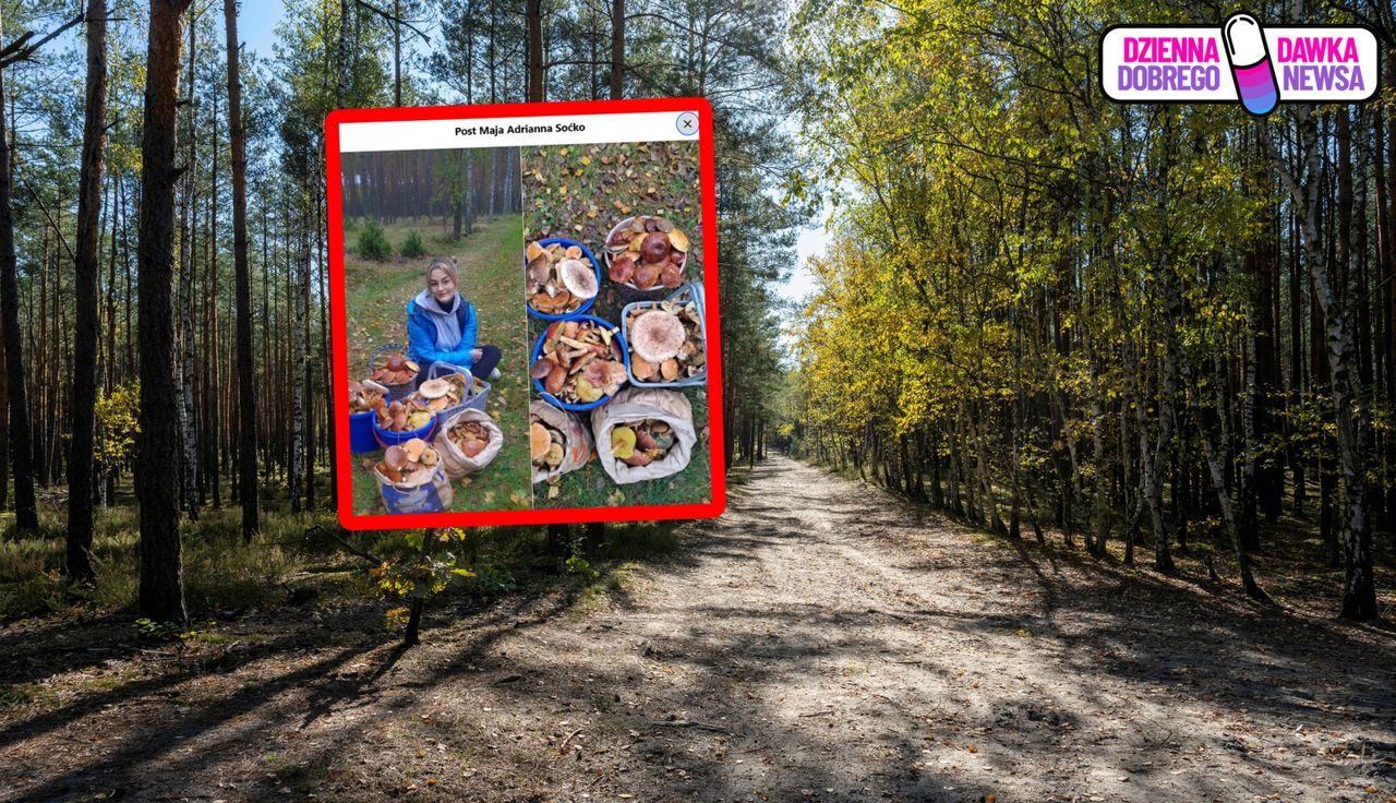 3,5 godziny w lesie. Ujęcia obiegają sieć. "Miazga"