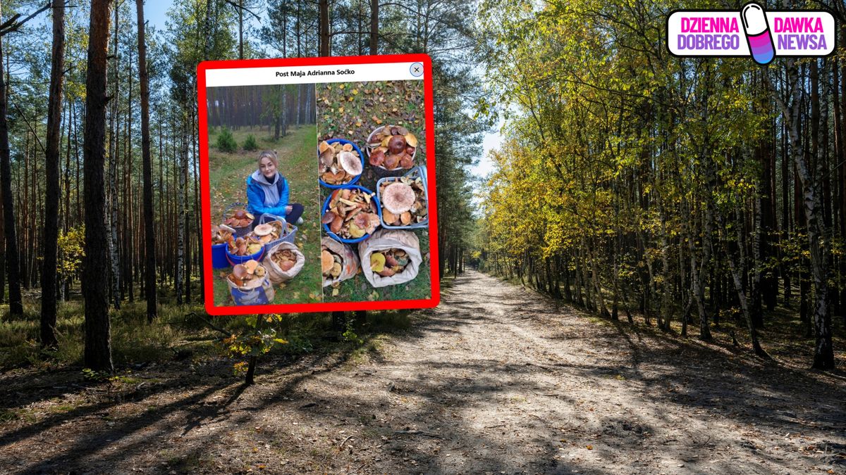 Pokazała efekty grzybobrania w woj. kujawsko-pomorskim.