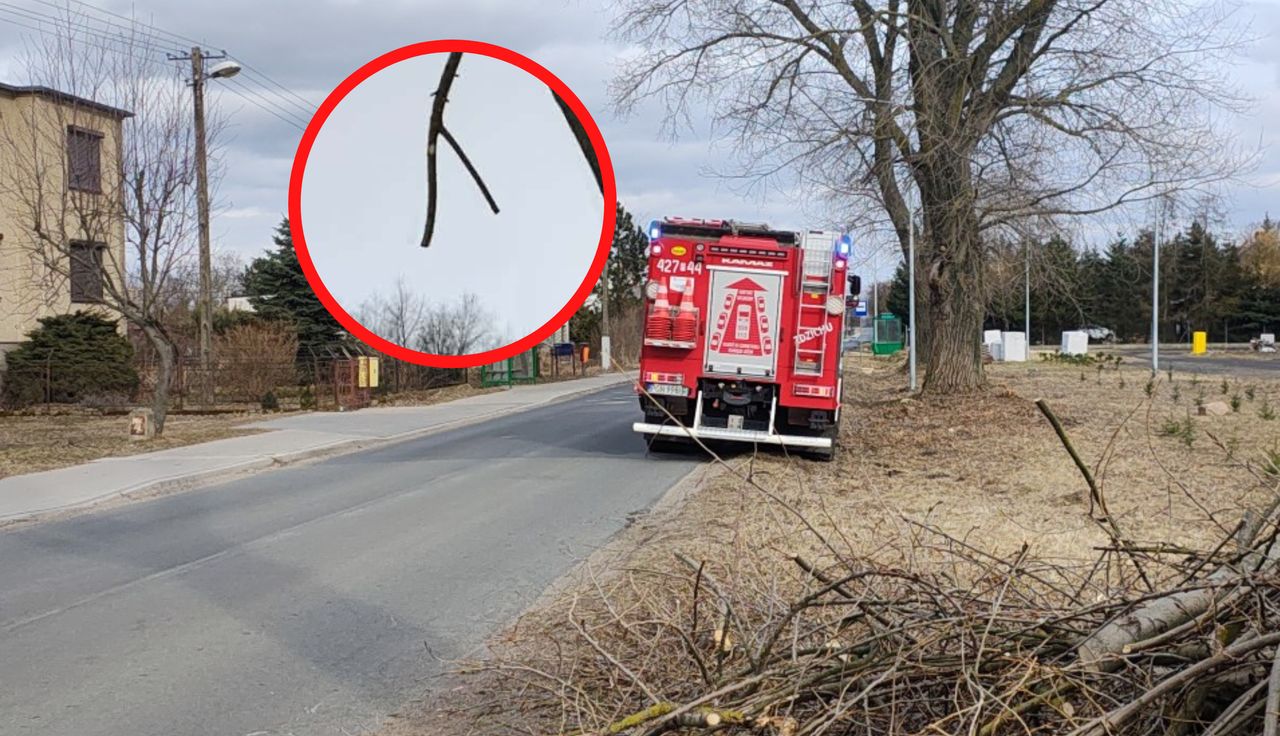 Ktoś wezwał strażaków. Niebywałe, co ujrzeli. Skandal