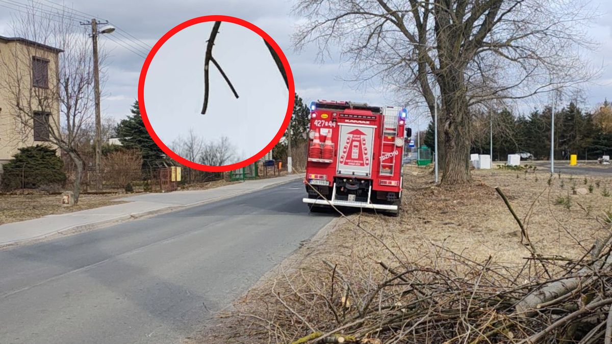 Szokujący finał interwencji strażaków.