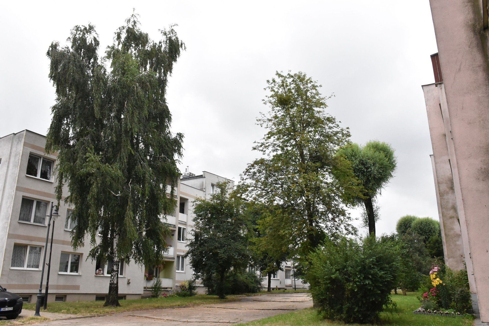 Trakt Jana Pawła II w Malborku do modernizacji