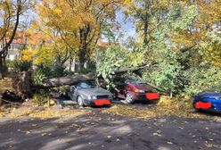 Wichura szaleje! Zniszczone samochody, przewrócone drzewa i uszkodzona katedra