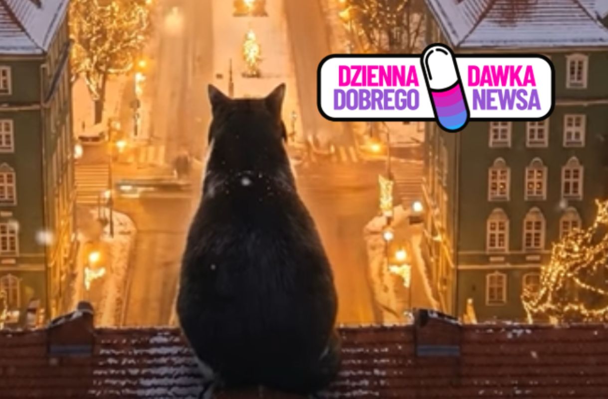 Szczecinianin stworzył wyjątkowe nagranie. Film z Gackiem podbija sieć