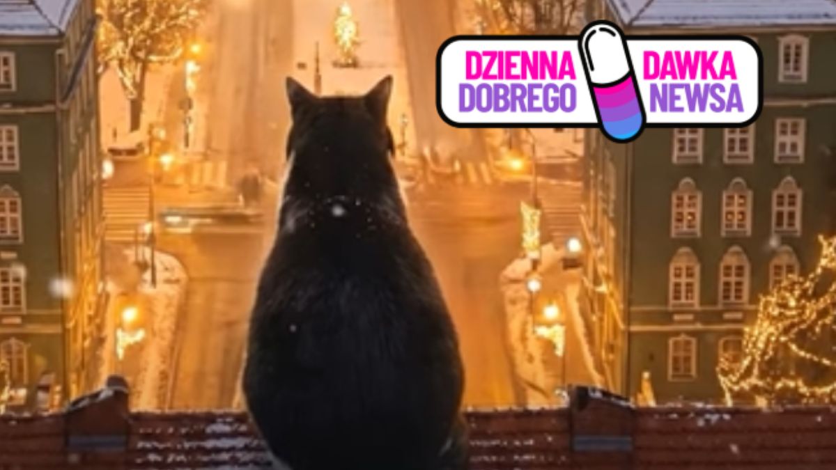 Niezwykłe nagranie od szczecińskiego grafika