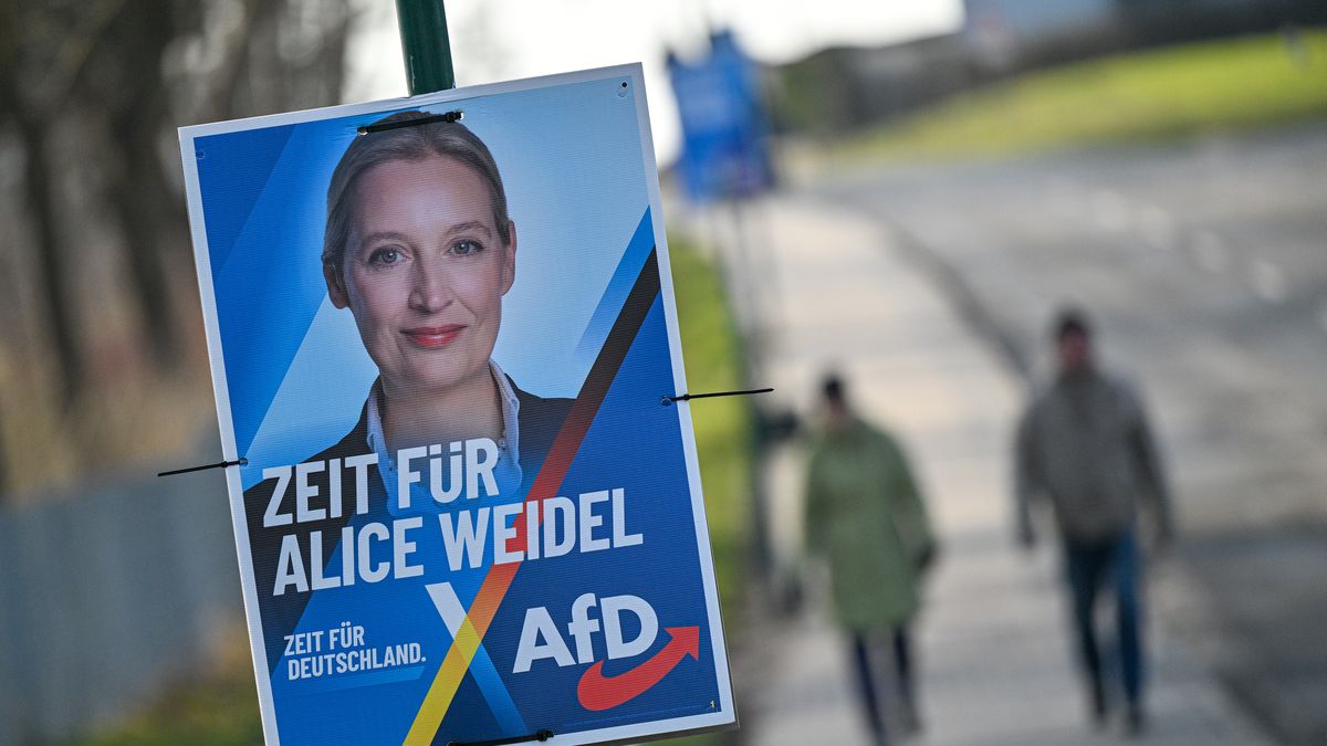 KROEPELIN, GERMANY - FEBRUARY 03: Election campaign posters for the AFD featuring candidate and AFD Chairwoman Alice Weidel are seen on February 03, 2025 in Kroepelin, Germany. Germany is scheduled to hold snap parliamentary elections on February 23 following the collapse of the three-party federal government coalition last November on January 27, 2025 in Berlin, Germany. (Photo by Frank Soellner/Getty Images)