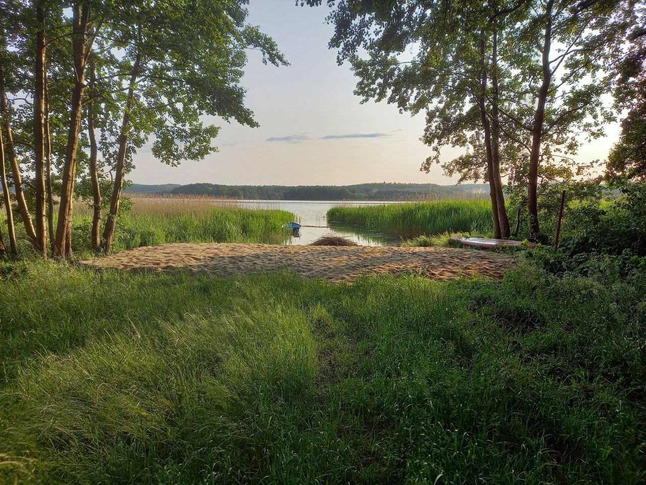 Wolna amerykanka nad Jeziorem Charzykowskim. Najpierw wycinka trzcin a teraz nielegalna plaża