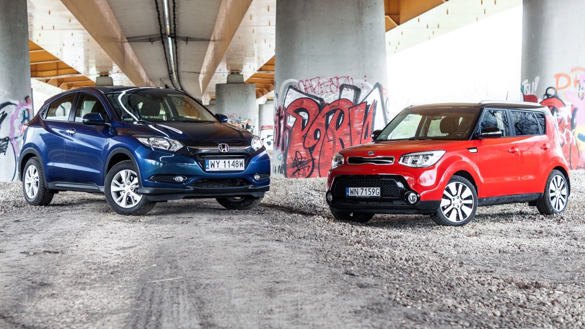 Zdjęcie ilustracyjne do artykułu