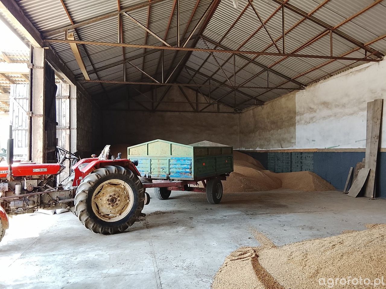 Ceny pszenicy 2025. Gdzie zboże podrożało, a gdzie stoi w miejscu?