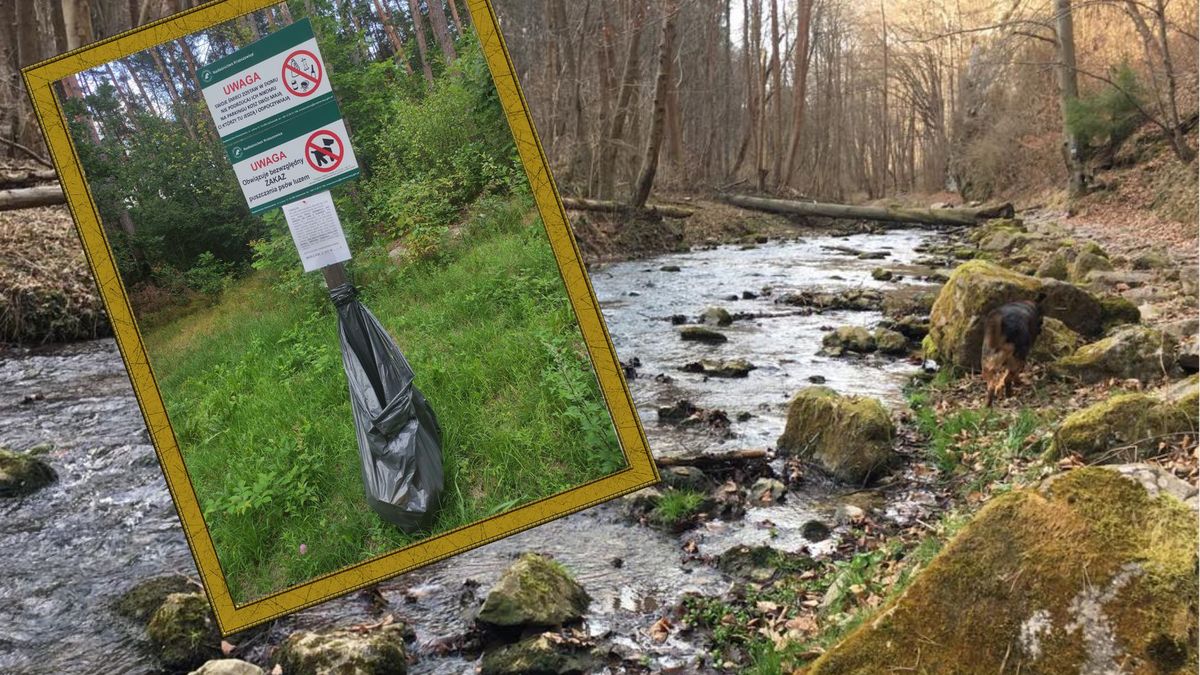 Niecodzienny apel mieszkańców w Krzeszowicach