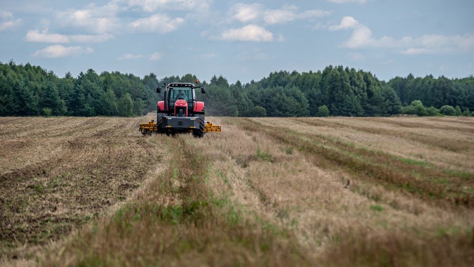 uprawa pożniwna Massey Ferguson 7499 Staltech