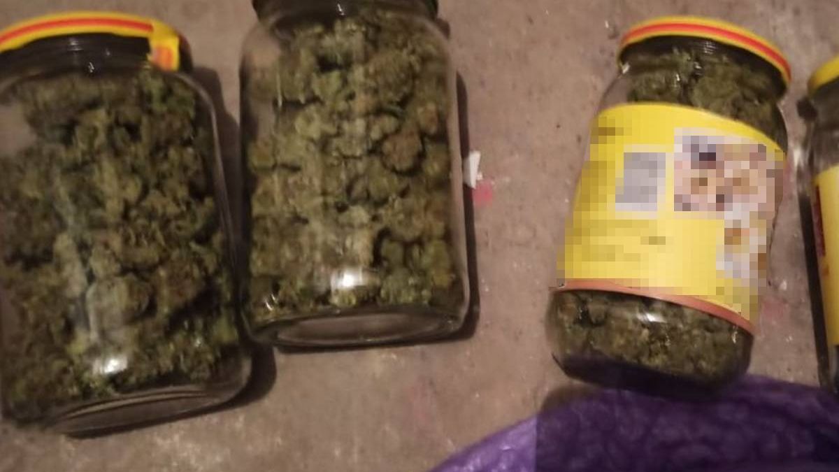 Marihuana w słoikach po majonezie