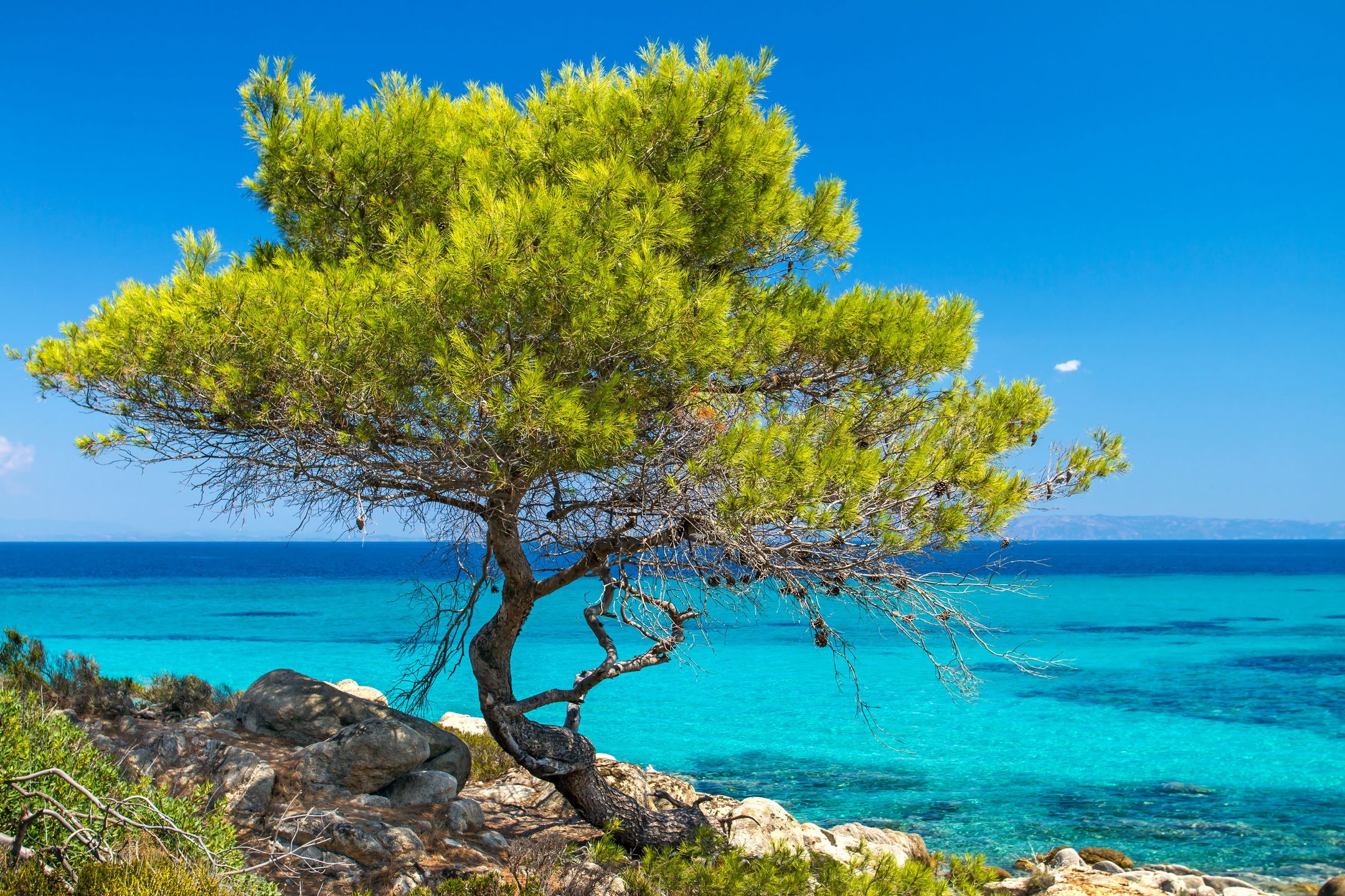 Chalkidiki to wakacyjny raj