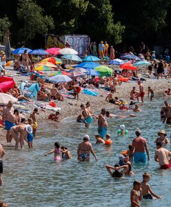 Niebezpieczne meduzy straszą turystów w Chorwacji. "Wszyscy boją się kąpać"