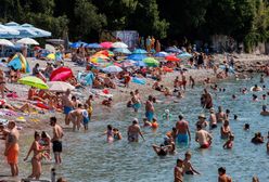 Niebezpieczne meduzy straszą turystów w Chorwacji. "Wszyscy boją się kąpać"