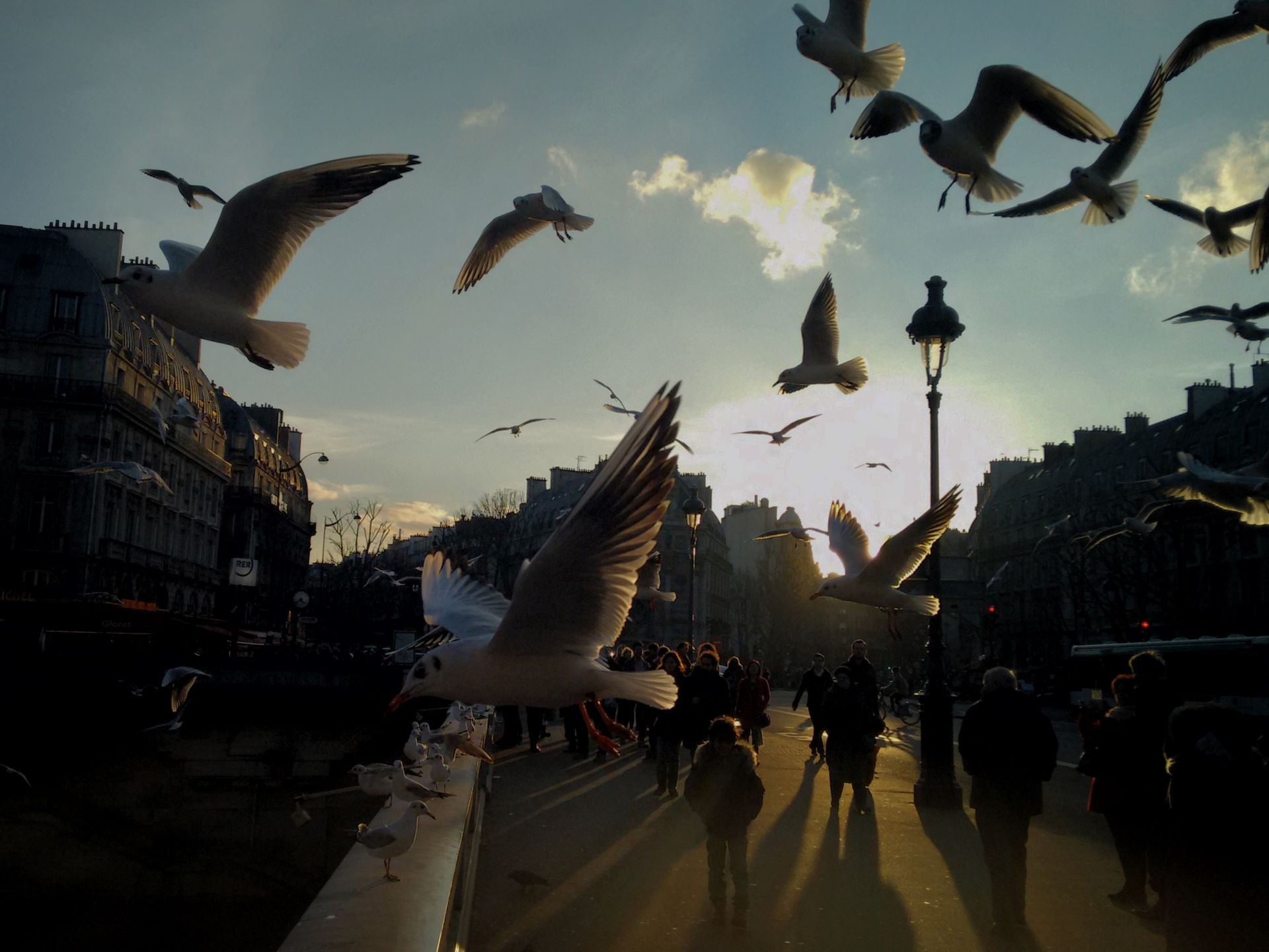 Zobacz najciekawsze z dotychczas zgłoszonych zdjęć w konkursie Sony World Photography Awards 2016 15